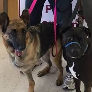 Meet your Posher, Sydne